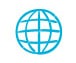 Web Access Globe Icon